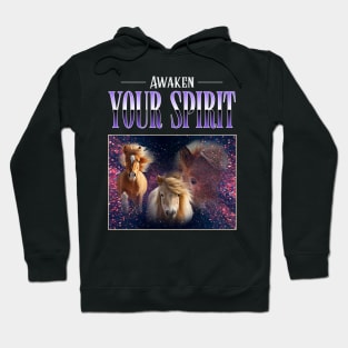 Awaken your spirit funny horse Hoodie